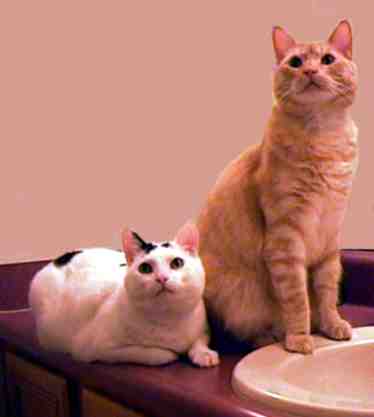 Satisfied customers